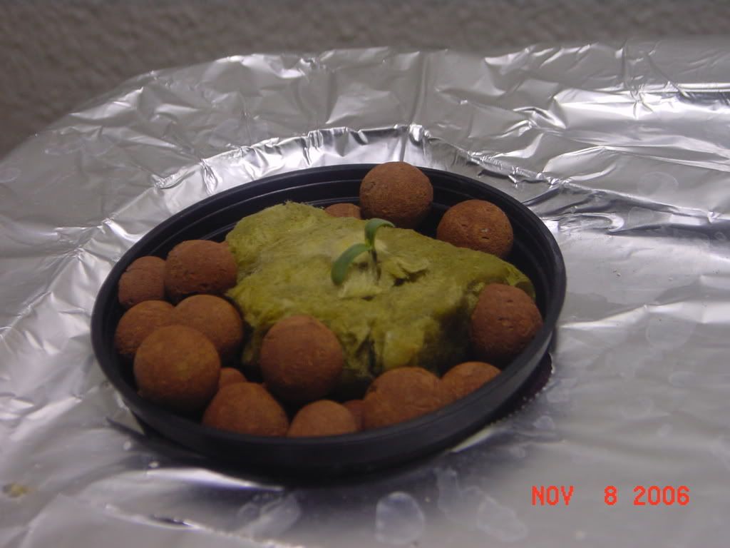 ab05.jpg
