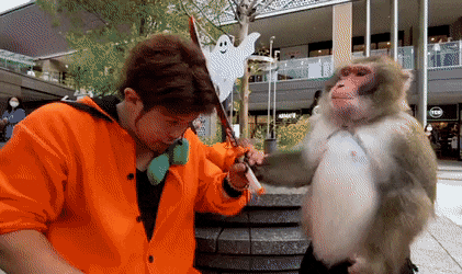 gifs_07.gif
