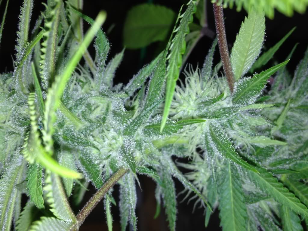 june232012045.jpg