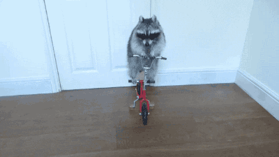 ynRy91kTW10Iw.gif
