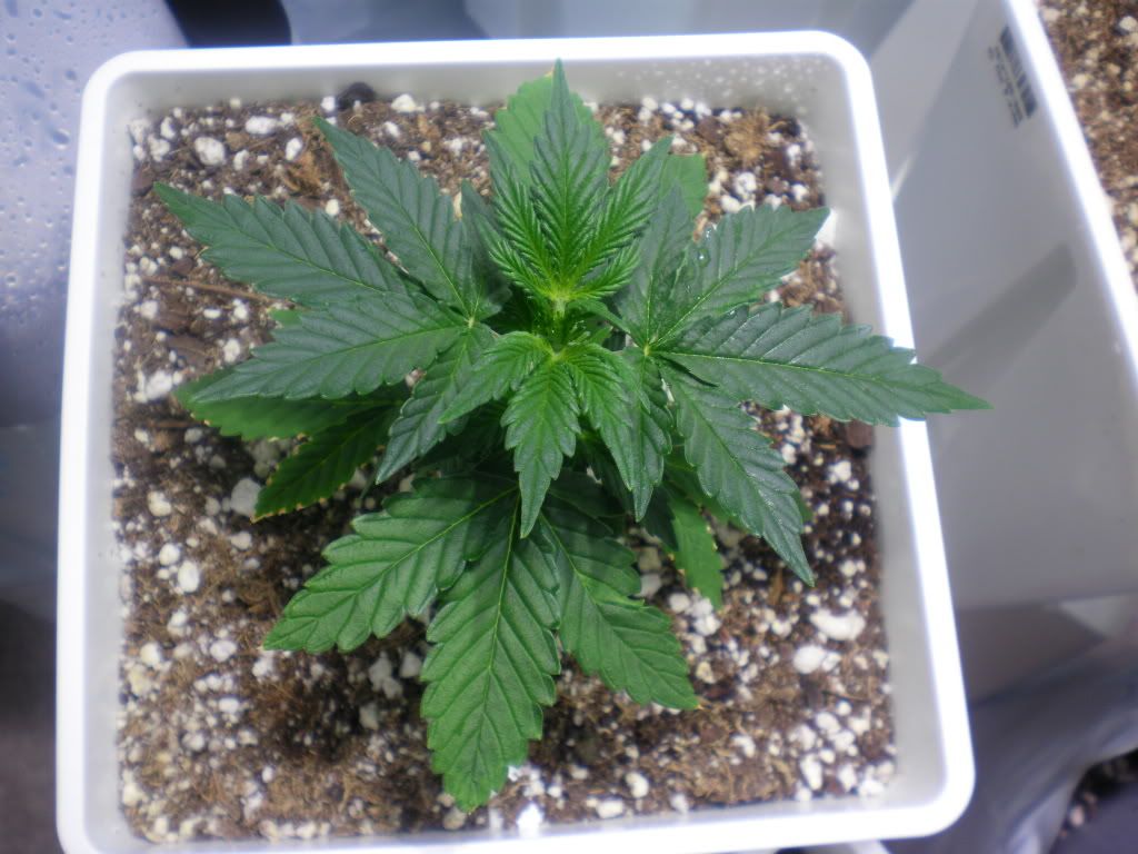 10-17-11004.jpg