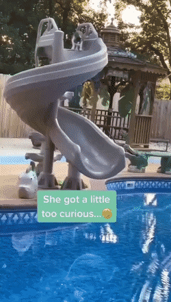 1673377493_19.gif
