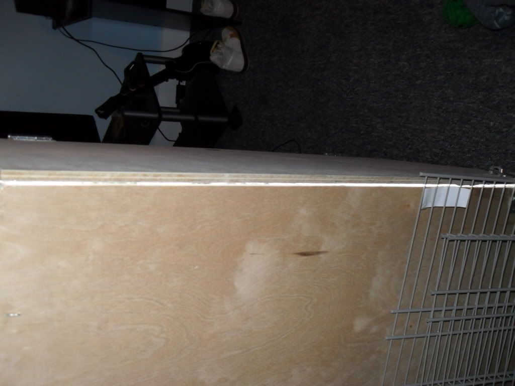 SDC10588.jpg