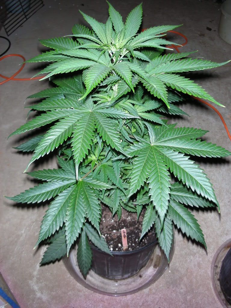 DSCN3320.jpg