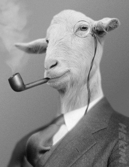 9f834a995d8a7ae67986ac887c53112c--la-pipe-pipe-smoking.jpg