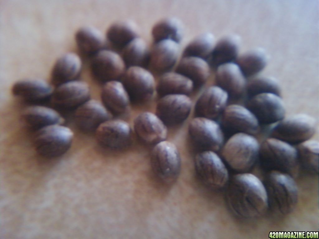 0812111255.jpg