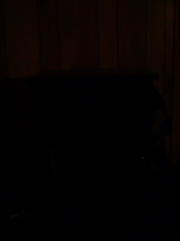 DSC02216.jpg