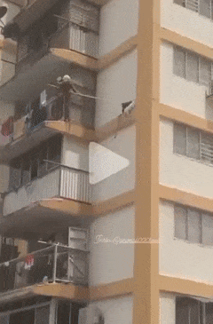 1648496264_23.gif