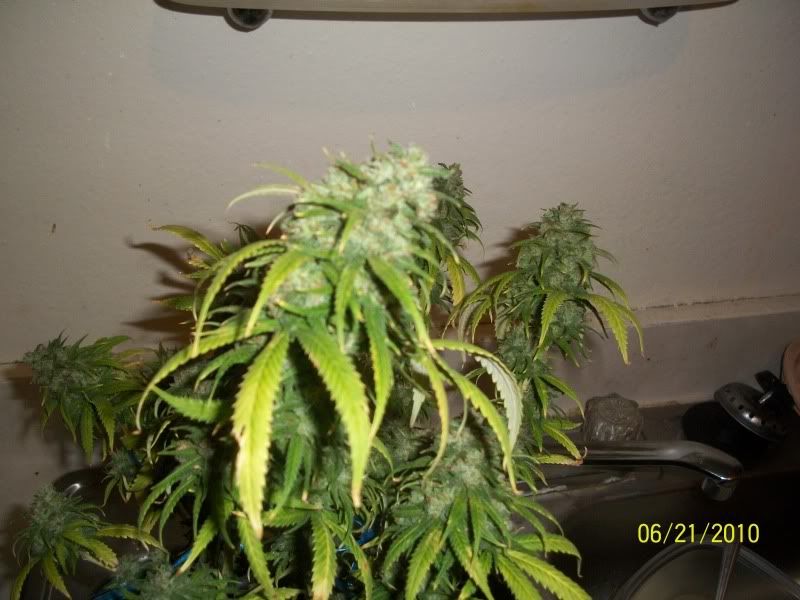 100_1274.jpg