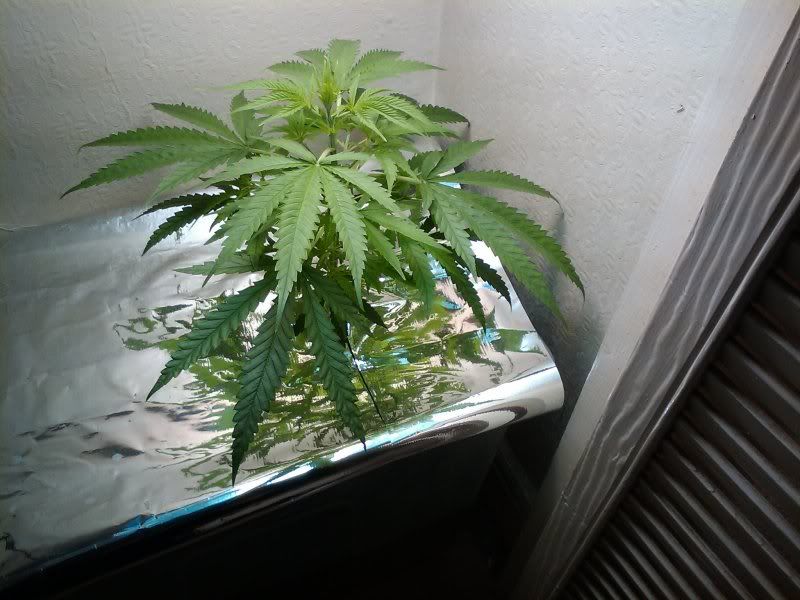 05-11-2010021025-1.jpg