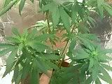 01-26-08_0947.jpg