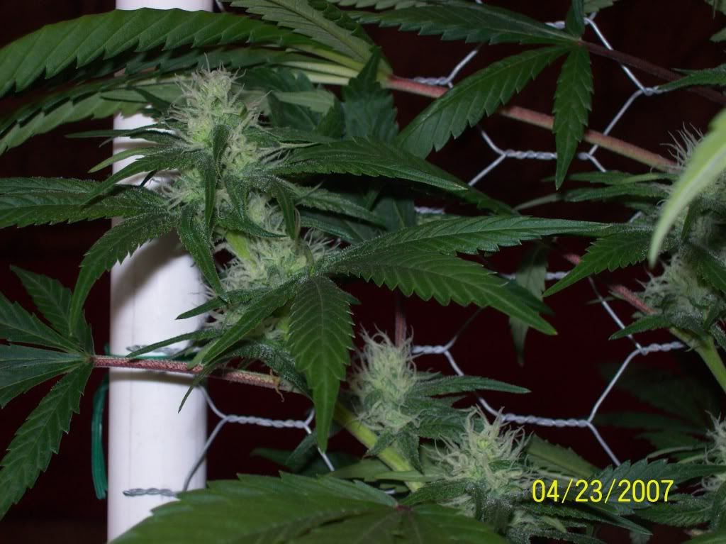 100_8746.jpg