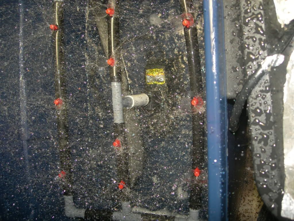 DSCN9360.jpg