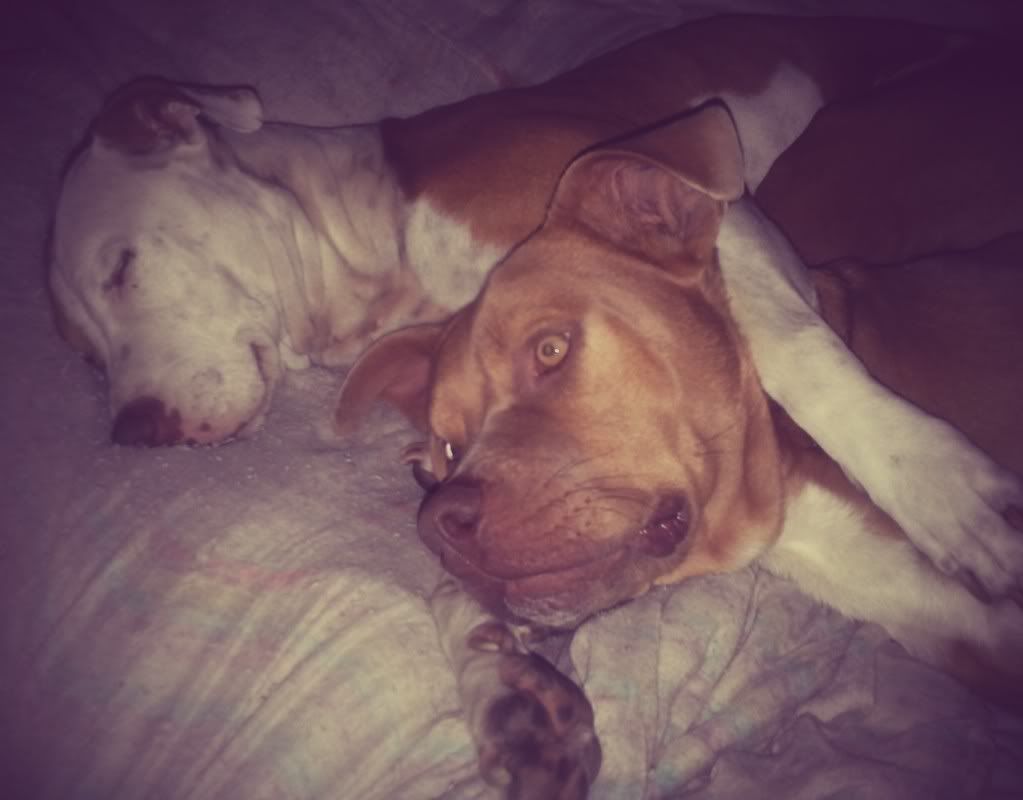 20131127_0721222.jpg
