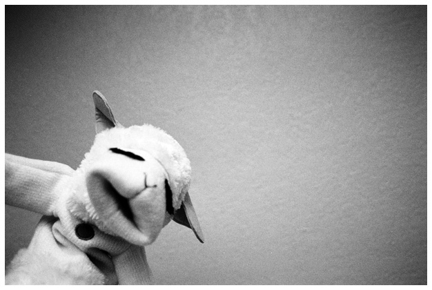 lambchop.jpg