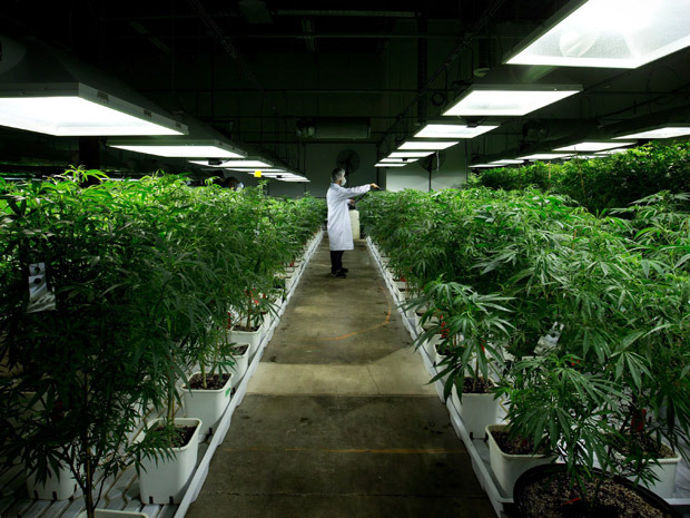 Indoor8.jpg