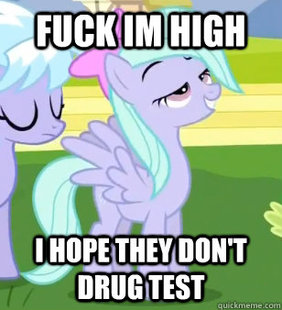 StonedPony.jpg