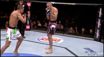 gifs_07.gif
