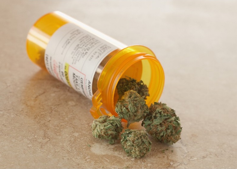 MMJ49.jpg