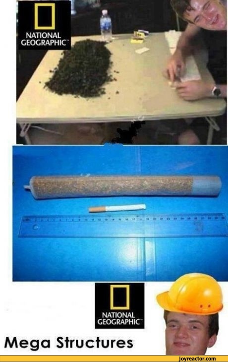 funny-weed-drugs-sandbox-923160.jpeg