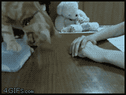 gifs_06.gif
