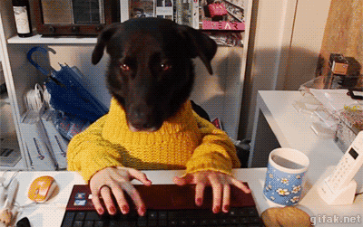 tumblr_nhenreINkN1s391qwo1_400.gif
