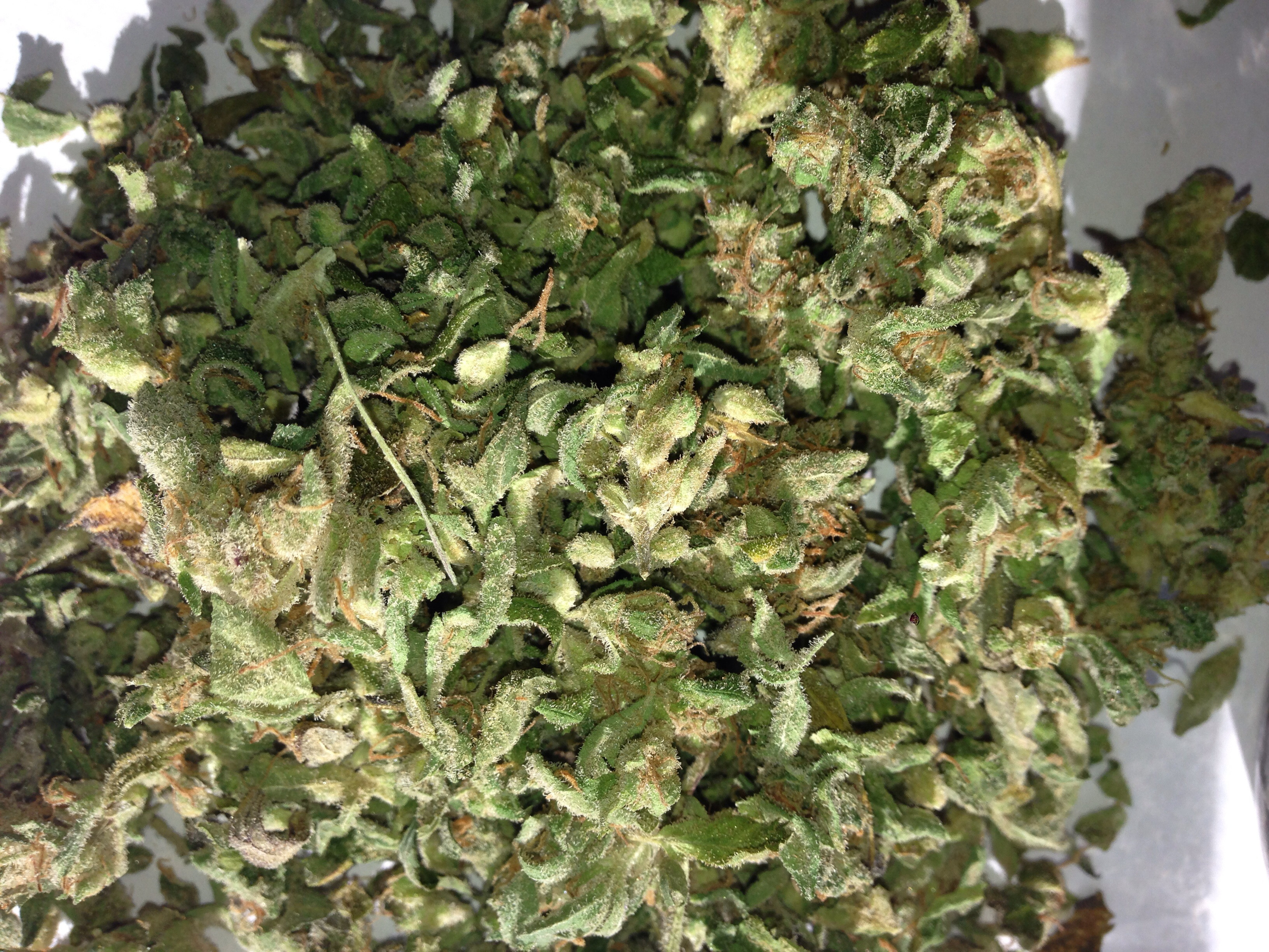 88giW7G.jpg