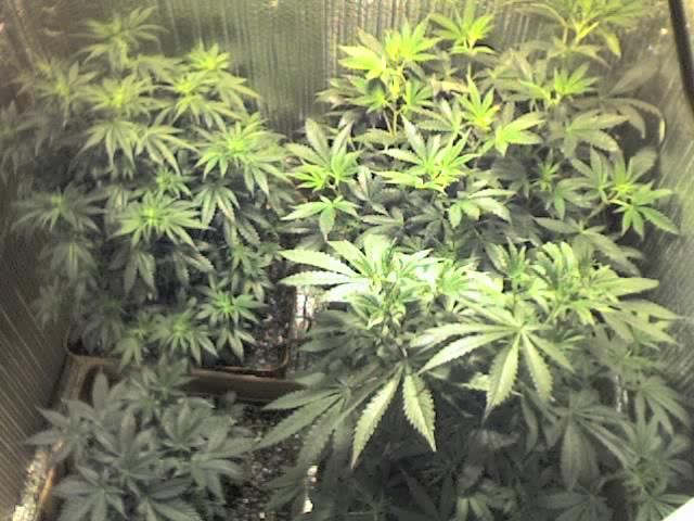 10-12-07_1911.jpg