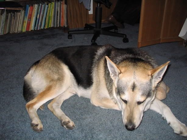 Pics171.jpg