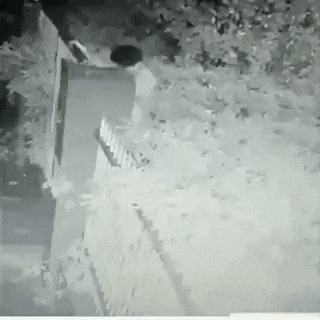 1646831832_17.gif