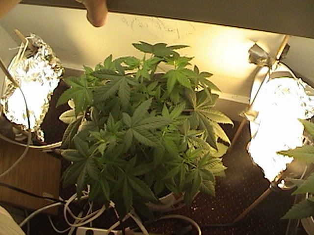 DSC00030.jpg