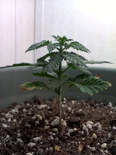 20120112131910.jpg