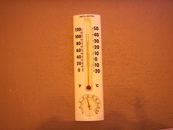 temp.jpg