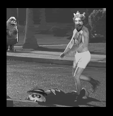 americanhisrotyx.gif