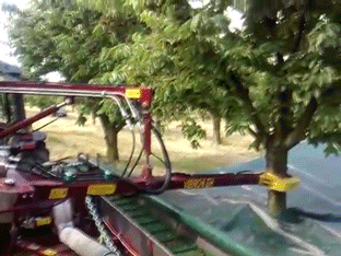 1pbWWPD.gif