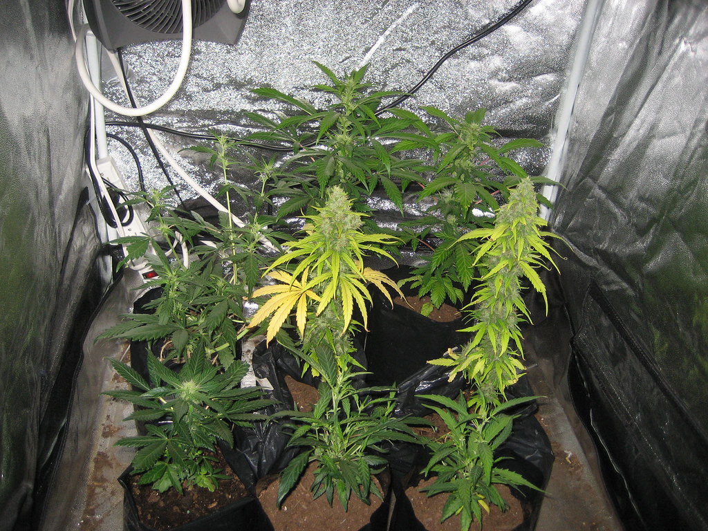 3438085249_f58df76ecb_b.jpg