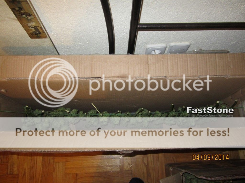 4-3-2014harvestbubblelicious1.jpg