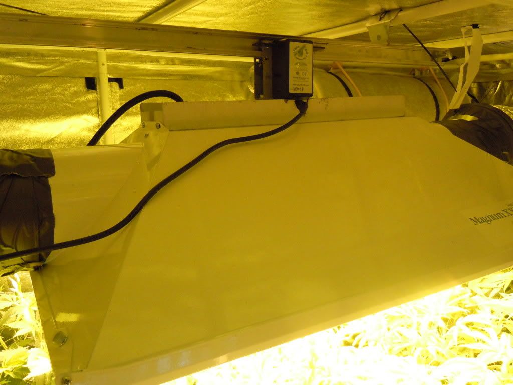 DSCN0555.jpg
