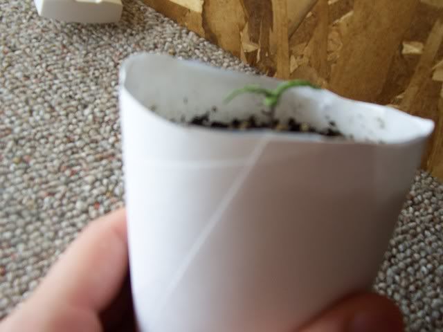 102_1753.jpg