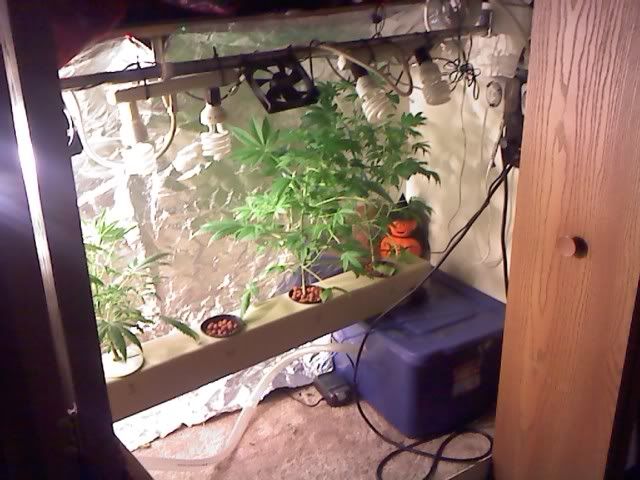 0206002049a.jpg