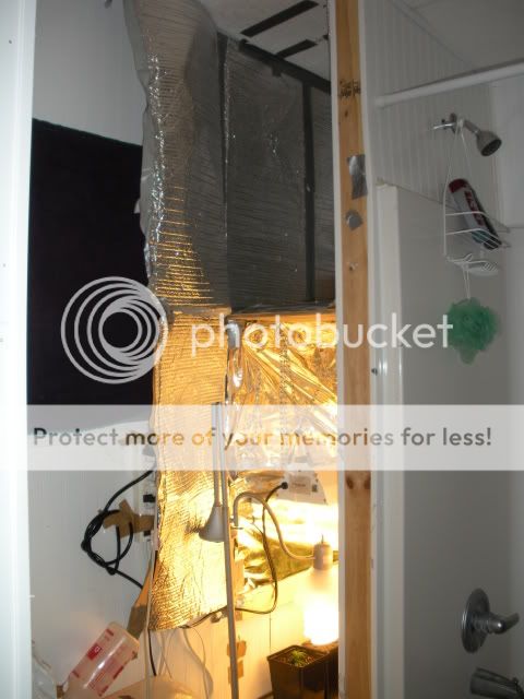 DSCN0608.jpg