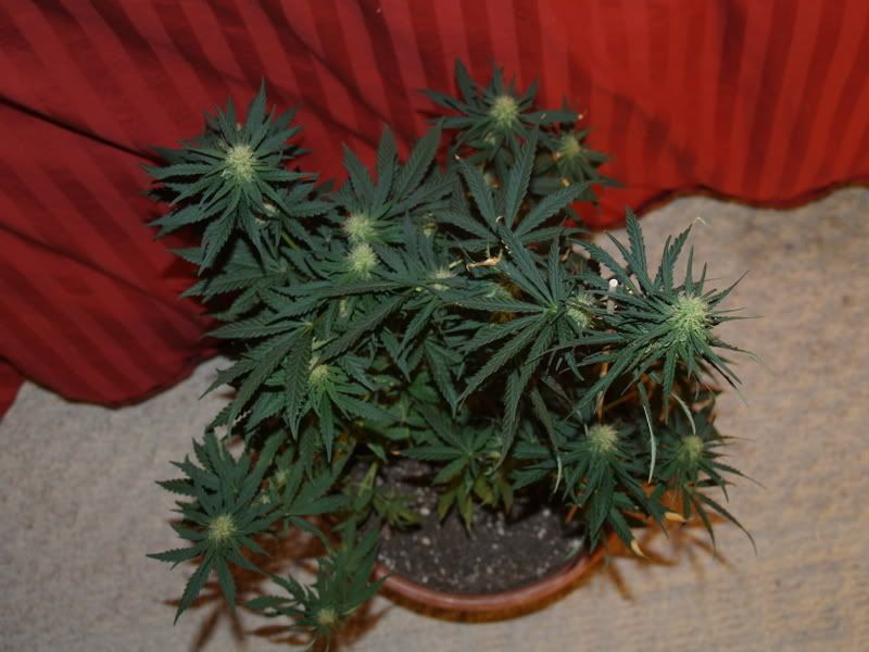 5-1-11-09.jpg