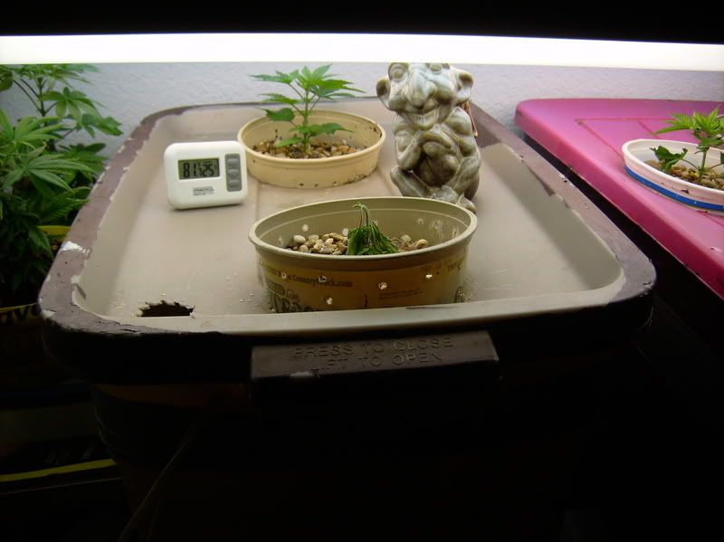 420013.jpg