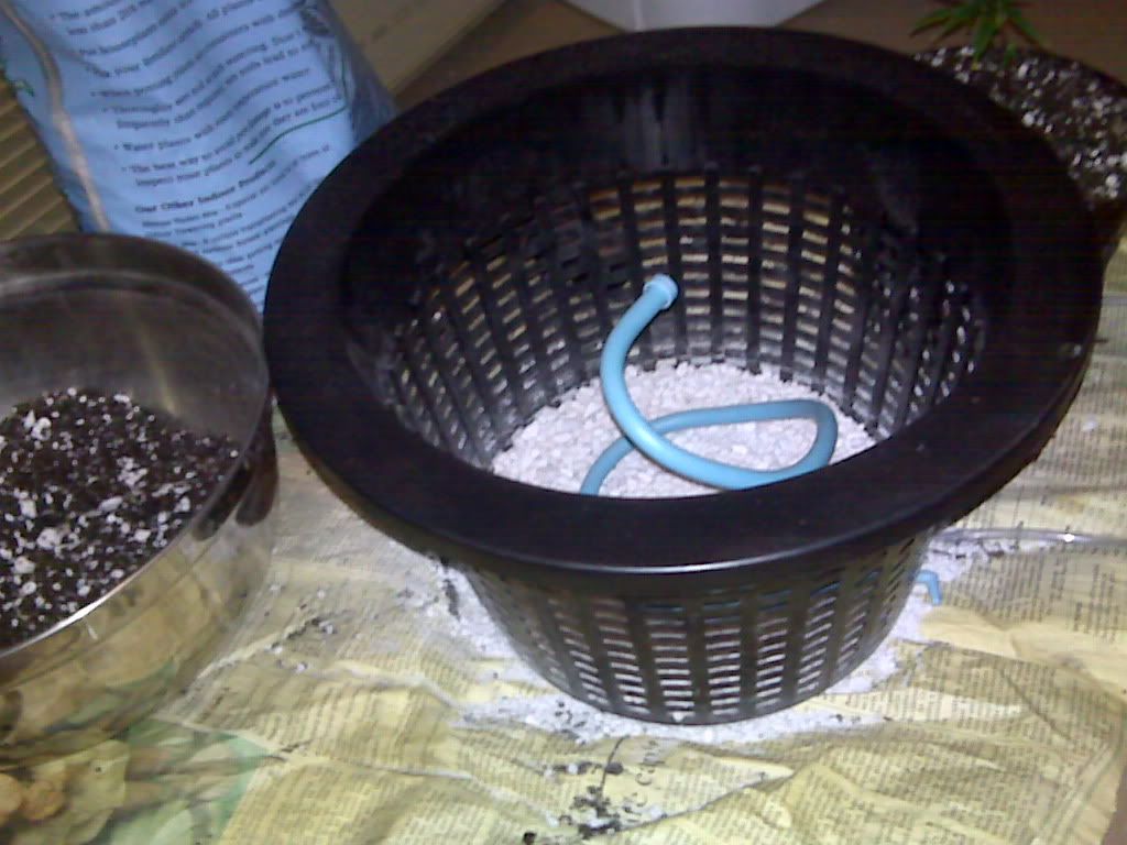 IMG00610.jpg