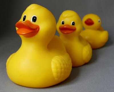3_rubber_ducks.jpg