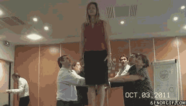 gifs_02.gif