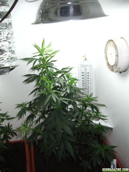 BB_CC_Update_Oct4_048.jpg