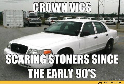 funny-pictures-stoner-humor-auto-413029.jpeg