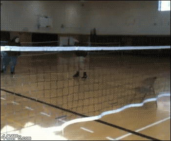 gifs_02.gif