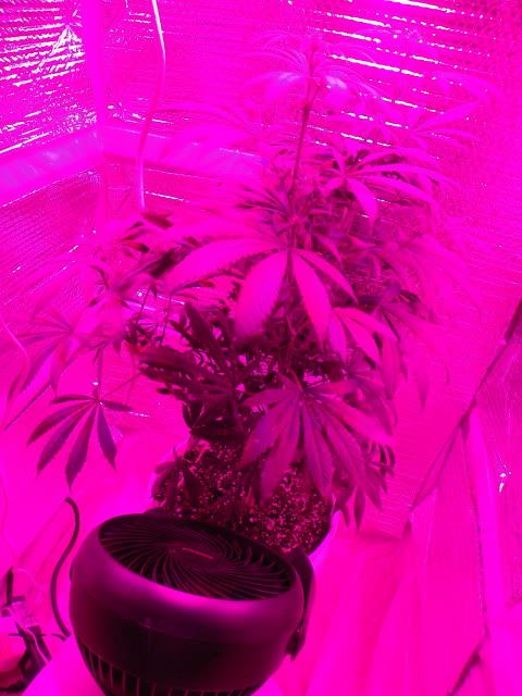 107_0244.jpg
